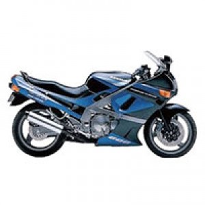 Carenados Kawasaki ZZR600 1998-2003