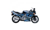 Carenados Kawasaki ZZR600