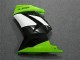 ABS Kits Carenado Kawasaki EX250 2008-2012 - Verde Negro Ninja ABS Kits Carenado Kawasaki EX250 2008-2012 - Verde Negro Ninja