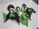 ABS Plásticos Kawasaki EX300 2013-2016 - Verde Negro ABS Plásticos Kawasaki EX300 2013-2016 - Verde Negro