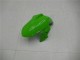 Carenado Kawasaki EX300 2013-2016 - Verde Negro Plata Carenado Kawasaki EX300 2013-2016 - Verde Negro Plata