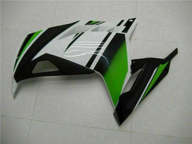 Carenado Kawasaki EX300 2013-2016 - Verde Negro Plata Carenado Kawasaki EX300 2013-2016 - Verde Negro Plata