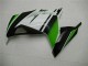 Carenado Kawasaki EX300 2013-2016 - Verde Negro Plata Carenado Kawasaki EX300 2013-2016 - Verde Negro Plata