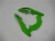 Carenado Kawasaki EX300 2013-2016 - Verde Negro Plata Carenado Kawasaki EX300 2013-2016 - Verde Negro Plata