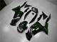 Carenado Kawasaki EX650 2006-2008 - Verde Llama Carenado Kawasaki EX650 2006-2008 - Verde Llama