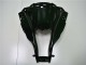 Carenado Kawasaki ZX10R 2011-2015 - Brillante Negro
