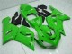 Carenado Kawasaki ZX6R 2005-2006 - Verde Carenado Kawasaki ZX6R 2005-2006 - Verde