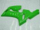 Carenado Kawasaki ZX6R 2005-2006 - Verde Carenado Kawasaki ZX6R 2005-2006 - Verde