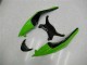 Carenado Kawasaki ZX6R 2009-2012 - Negro Verde Roja Carenado Kawasaki ZX6R 2009-2012 - Negro Verde Roja