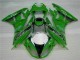 Carenado Kawasaki ZX6R 2009-2012 - Verde Negro LeoVince Carenado Kawasaki ZX6R 2009-2012 - Verde Negro LeoVince