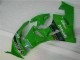 Carenado Kawasaki ZX6R 2009-2012 - Verde Negro LeoVince Carenado Kawasaki ZX6R 2009-2012 - Verde Negro LeoVince