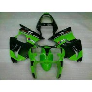 Carenado & Plástico Kawasaki ZX6R 2000-2002 - Verde