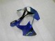 Carenados Kawasaki ZX6R 2000-2002 - Azul Carenados Kawasaki ZX6R 2000-2002 - Azul