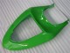 Kits Completo Carenado Kawasaki ZX6R 2005-2006 - Verde Kits Completo Carenado Kawasaki ZX6R 2005-2006 - Verde