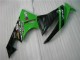 Kits Completo Carenado Kawasaki ZX6R 2009-2012 - Negro Verde Kits Completo Carenado Kawasaki ZX6R 2009-2012 - Negro Verde