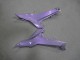 Carenados Moto Kawasaki Ninja 650 EX650 2020-2025 - Camaleón Gris Dazz Púrpura Perla