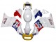 Carenados Moto Suzuki RG400 RG500 RG400/500 1984-1987 - Blanco Rojo Azul Amarillo Motul Michelin Pepsi