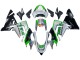 Carenados Moto Kawasaki ZX10R 2004-2005 - Verde Plata Negro 69