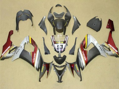 Carenados Moto Kawasaki ZX10R 2008-2010 - Plata Gris Amarillo Rojo