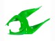 Carenados Moto Kawasaki ZX6R 2009-2012 - Verde Negro Brillante