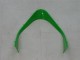 Carenados Moto Kawasaki ZX9R 2000-2001 - Verde Plata Negro