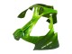 Carenados Moto Kawasaki ZX9R 2000-2001 - Verde Llama