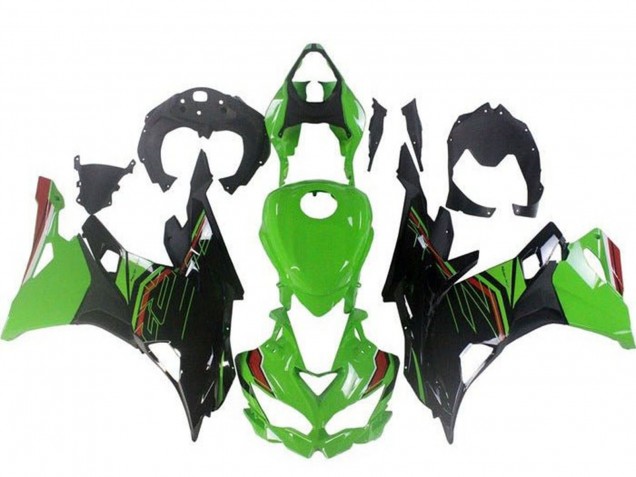 Carenados Moto Kawasaki ZX4R ZX-4RR 2019-2026 - Verde Negro Rojo