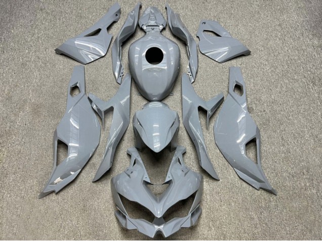 Carenados Moto Kawasaki ZX4R ZX-4RR 2019-2026 - Nardo Gris Brillante
